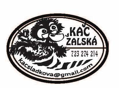 pokus o úřední portrét